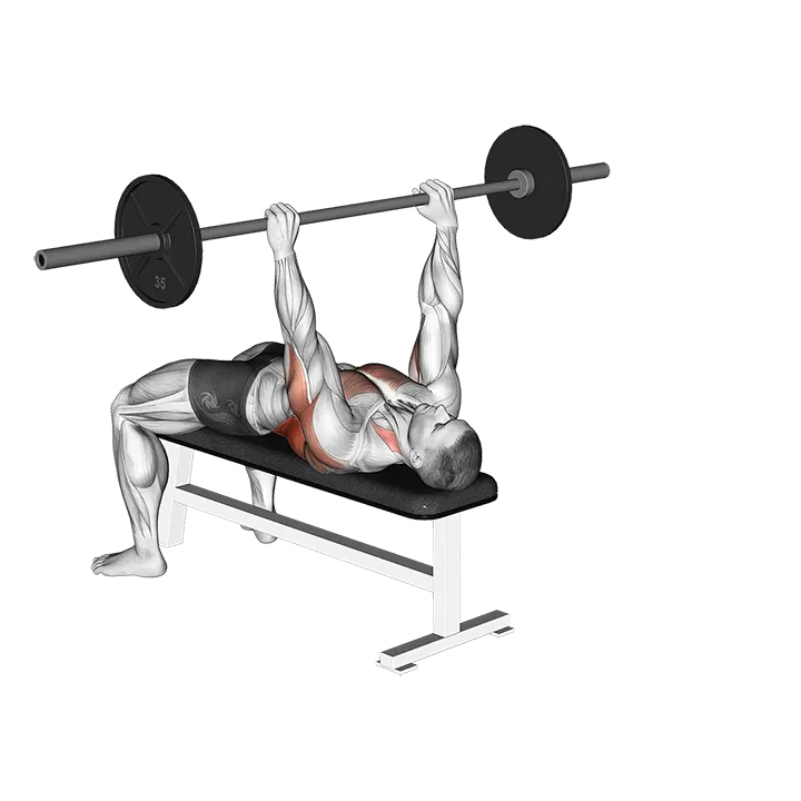 Barbell Bent Arm Pullover exercise animation (Male)