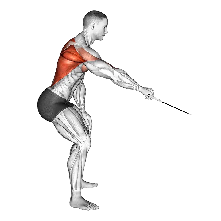 Cable Palm Rotational Row exercise animation (Male)