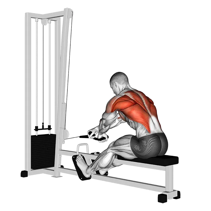 Cable Rope Crossover Seated Row exercise animation (Male)