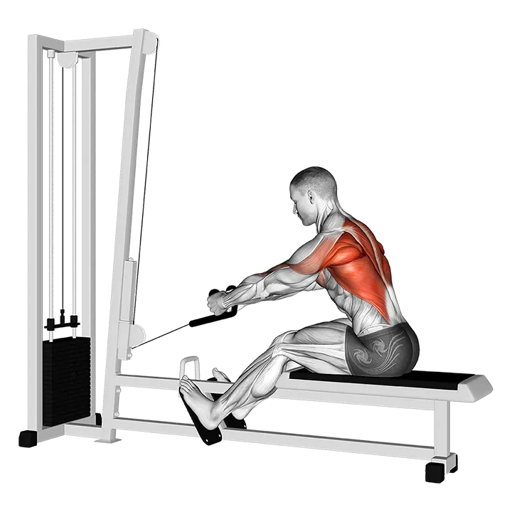 Cable Rope Elevated Seated Row exercise animation (Male)