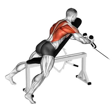 Cable Rope Extension Incline Bench Row