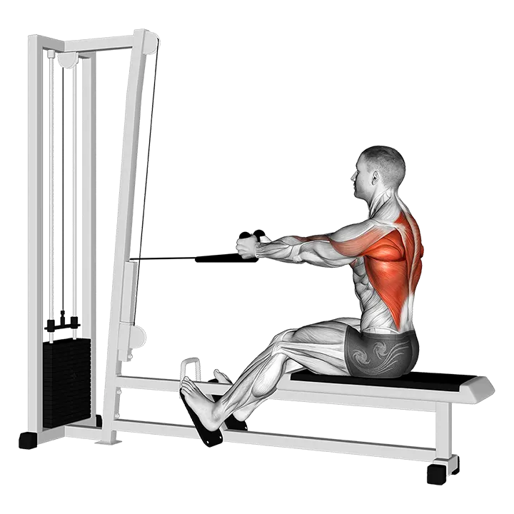 Cable Rope Seated Row exercise animation (Male)
