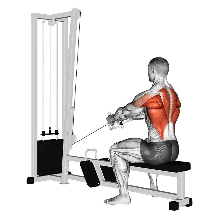 Cable Upper Row exercise animation (Male)