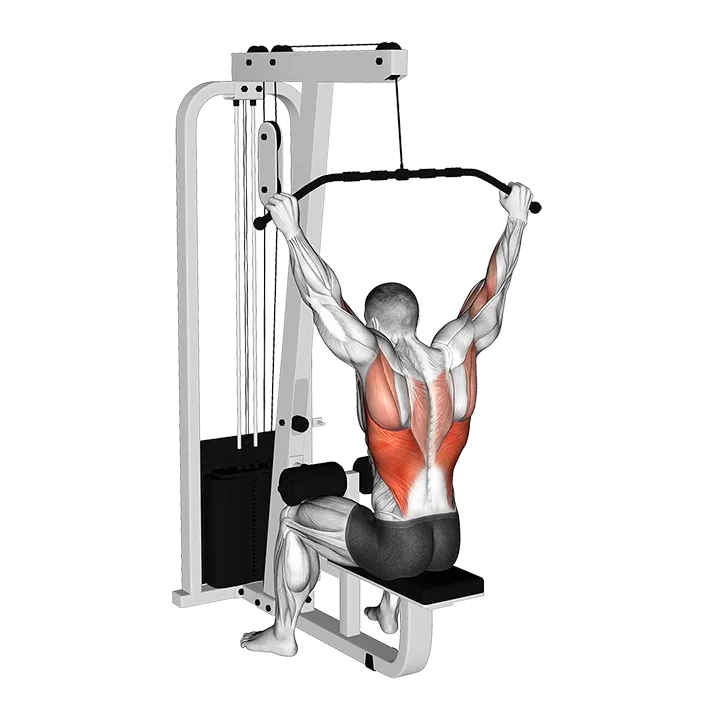 Cable Wide Grip Behind Neck Pulldown exercise animation (Male)