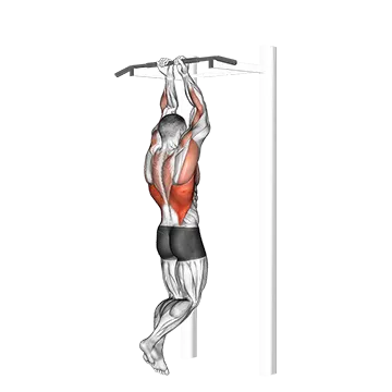 Close Grip Chin-Up