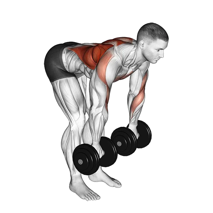 Dumbbell Palm Rotational Bent Over Row exercise animation (Male)
