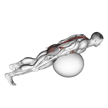 Exercise Ball Back Extension With Rotation