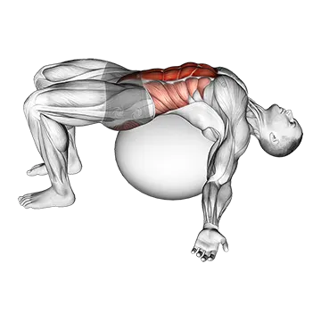 Exercise Ball Back Stretch
