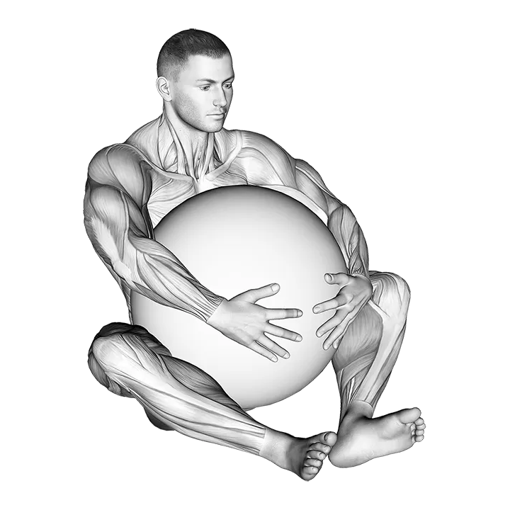 Exercise Ball Hug exercise animation (Male)
