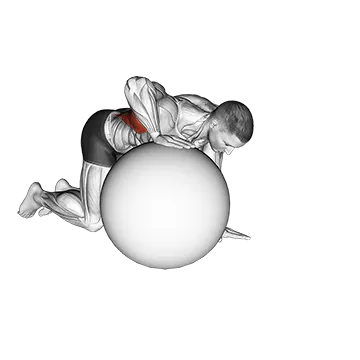 Exercise Ball Lat Stretch