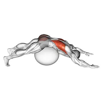 Exercise Ball Lower Back Prone Stretch