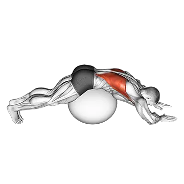 Exercise Ball Lower Back Stretch (Pyramid)