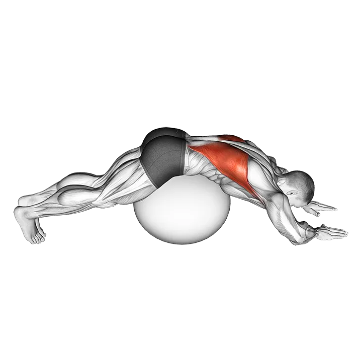 Exercise Ball Lower Back Stretch (Pyramid) exercise animation (Male)