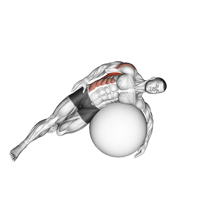 Exercise Ball Lying Side Lat Stretch exercise animation (Männlich)