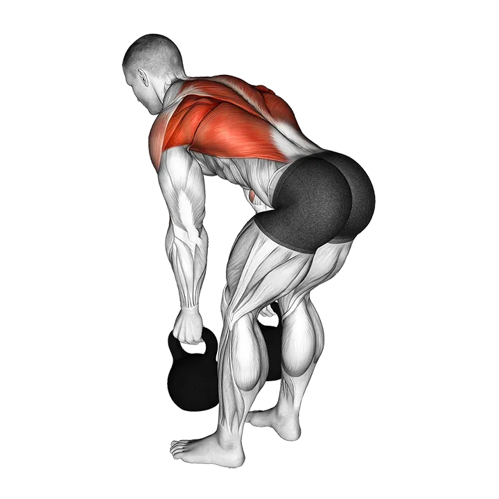 Kettlebell Two Arm Row exercise animation (Male)