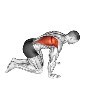 Kneeling Lat Stretch