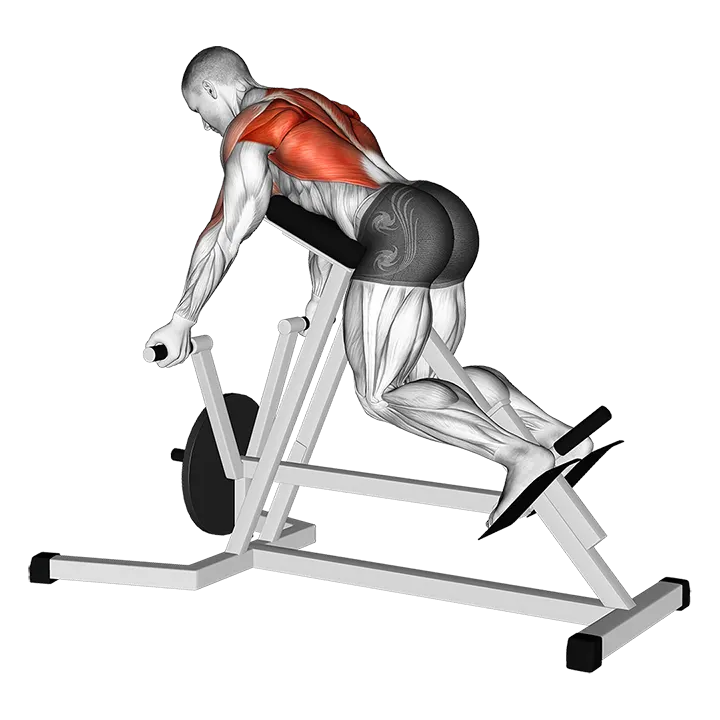 Lever Reverse T-Bar Row exercise animation (Male)
