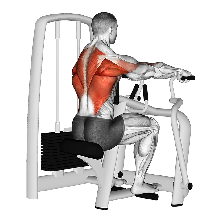 Lever Seated Row exercise animation (Male)
