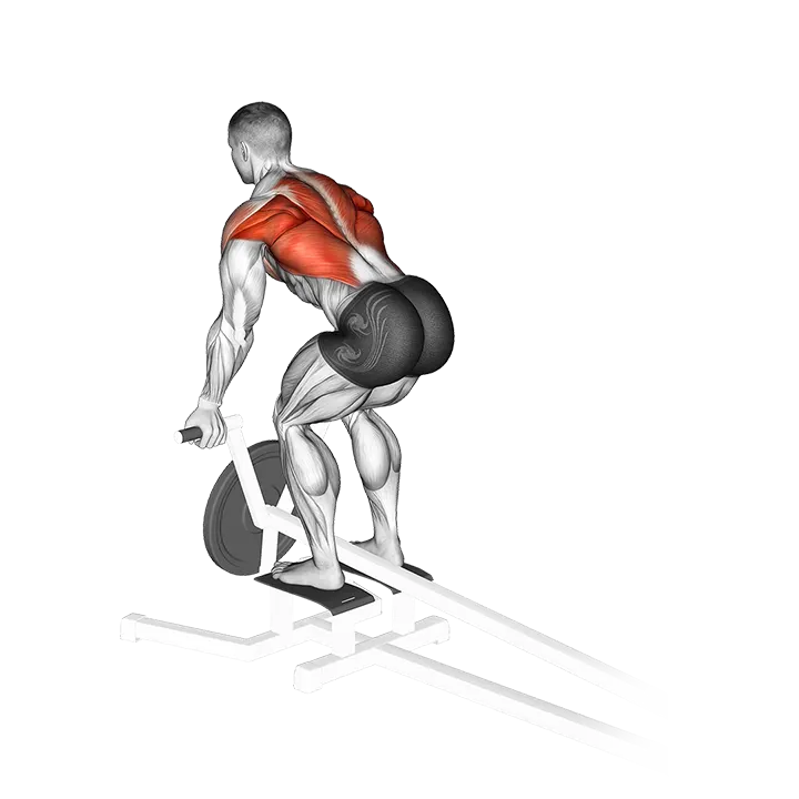 Lever T-Bar Reverse Grip Row exercise animation (Male)