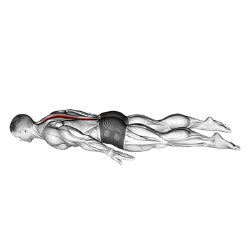 Lower Back Curl