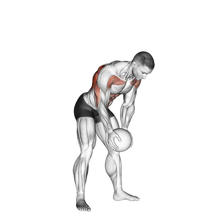 Medicine Ball Catch and Overhead Throw exercise animation (Male)
