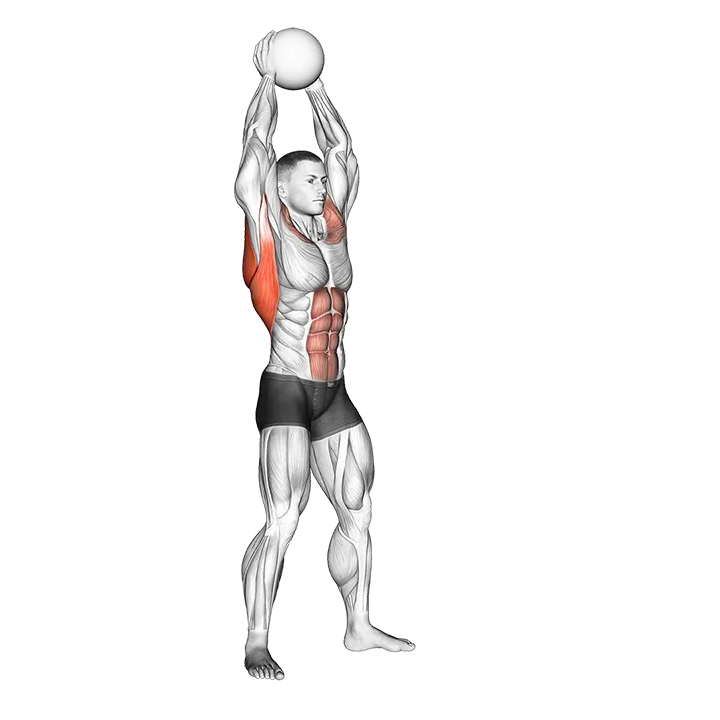 Medicine Ball Overhead Slam exercise animation (Male)