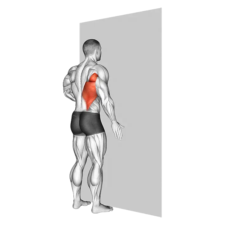 One Arm Against Wall exercise animation (Male)