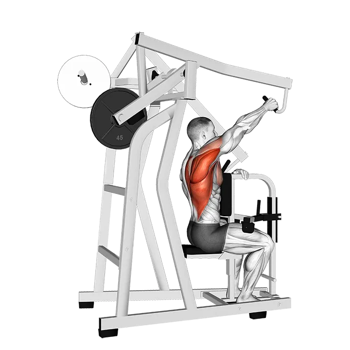 Lever One Arm Lateral High Row exercise animation (Male)