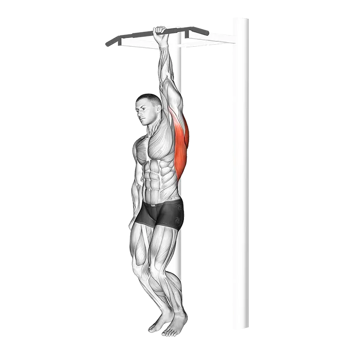One Handed Hang exercise animation (Male)