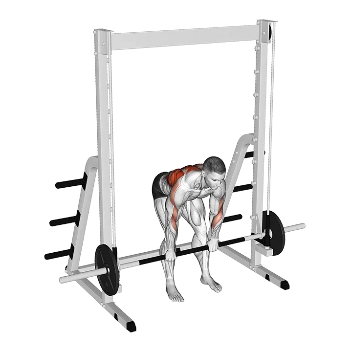 Smith Bent Over Row exercise animation (Male)