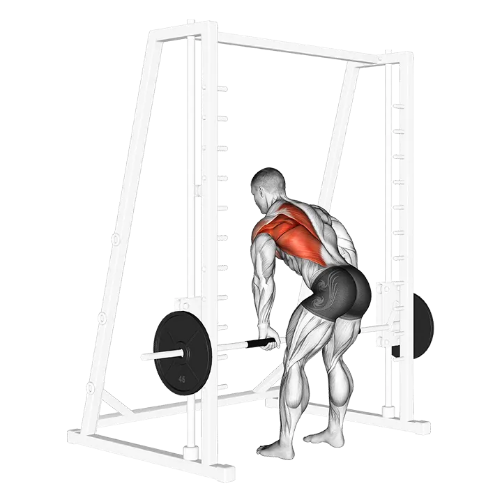 Smith One Arm Row exercise animation (Male)