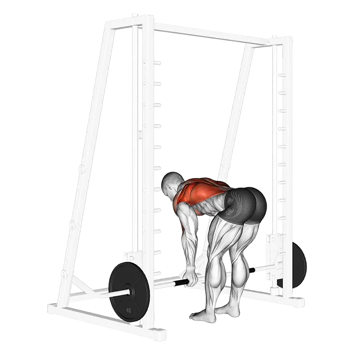 Smith Reverse Grip Bent Over Row exercise animation (Male)