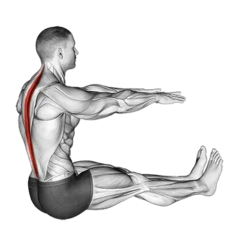 Spine Stretch
