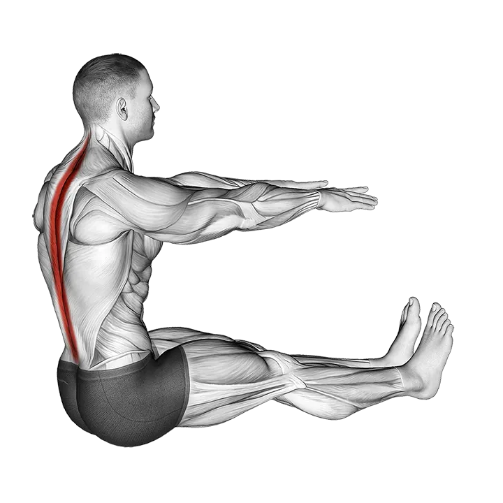 Spine Stretch exercise animation (Male)