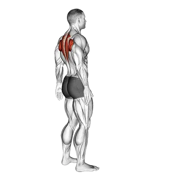 Upper Back Stretch