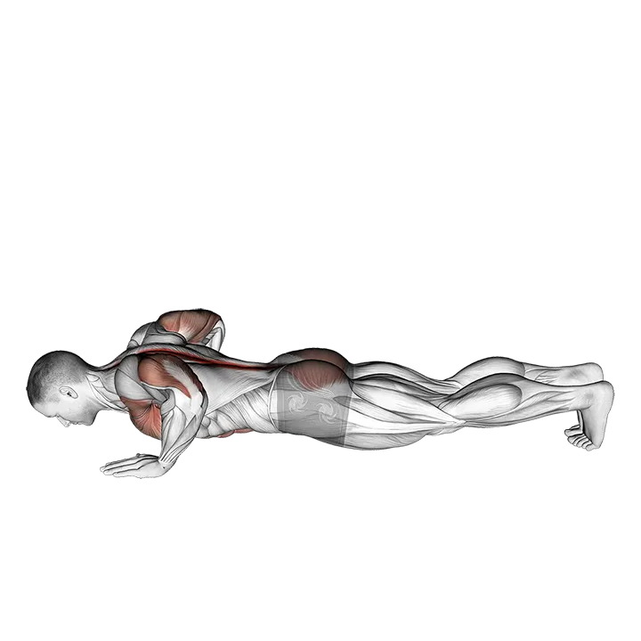 Upward Facing Dog exercise animation (Male)