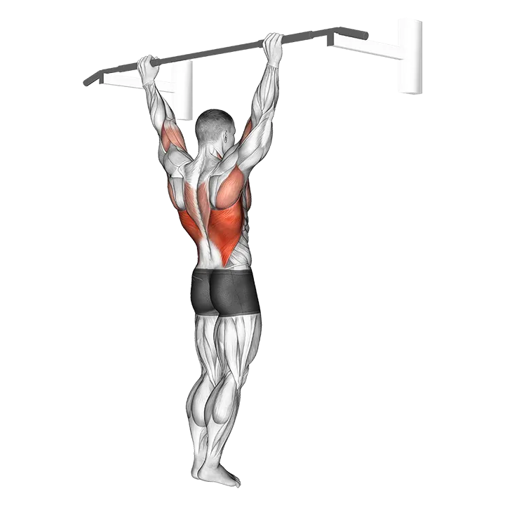 Wide Grip Rear Pull-Up exercise animation (Male)