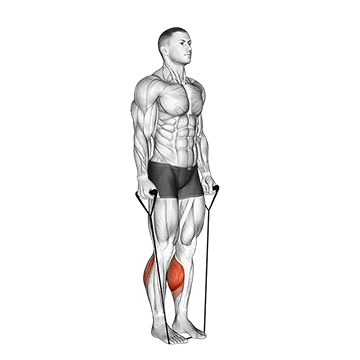 Band Two Legs Calf Raise - (Band under both legs) VERSION 2