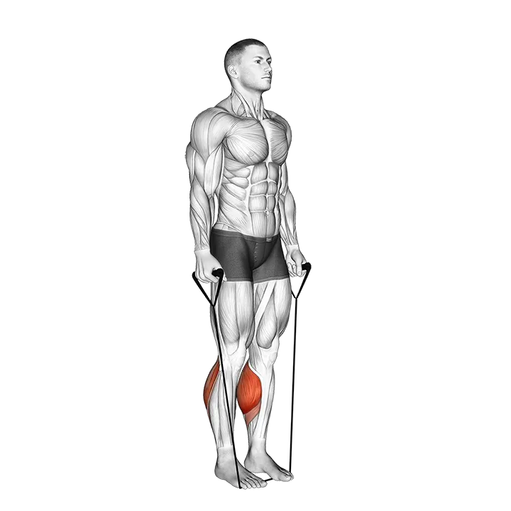 Band Two Legs Calf Raise - (Band under both legs) VERSION 2 exercise animation (Männlich)