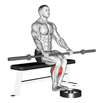 Barbell Seated Calf Raise