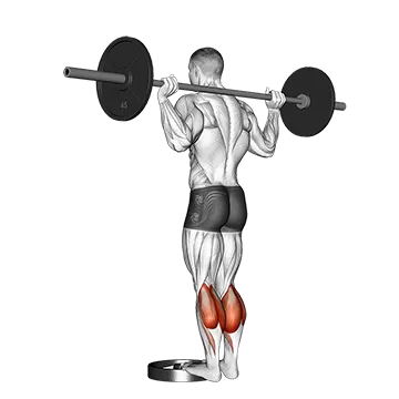Barbell Standing Calf Raise