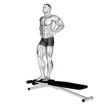 Box Jump Down with One Leg Stabilization