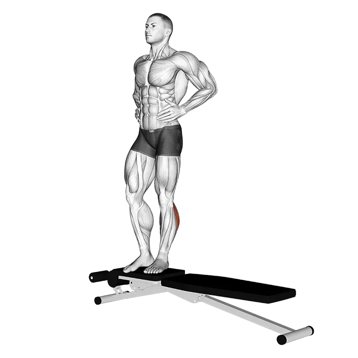 Box Jump Down with One Leg Stabilization exercise animation (Hombre)