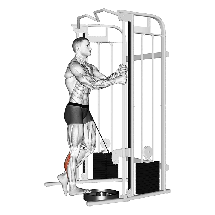 Cable Standing One Leg Calf Raise exercise animation (Male)