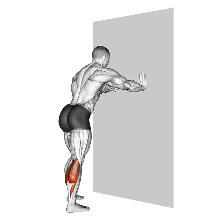 Calf Stretch With Hands Against Wall exercise animation (Male)
