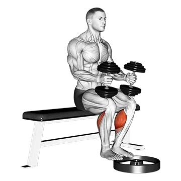 Dumbbell Seated Calf Raise