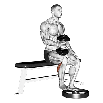 Dumbbell Seated One Leg Calf Raise - Hammer Grip