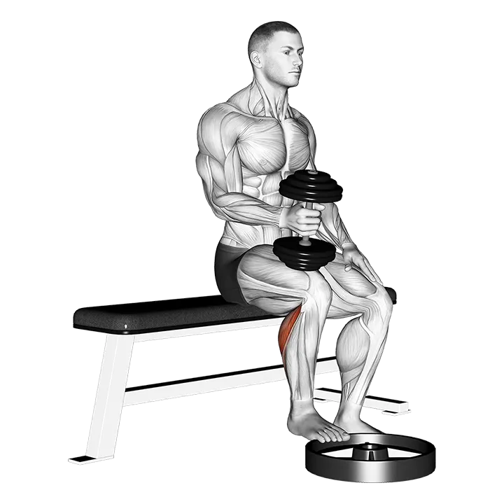 Dumbbell Seated One Leg Calf Raise - Hammer Grip exercise animation (Hombre)