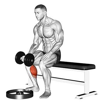 Dumbbell Seated One Leg Calf Raise - Palm up