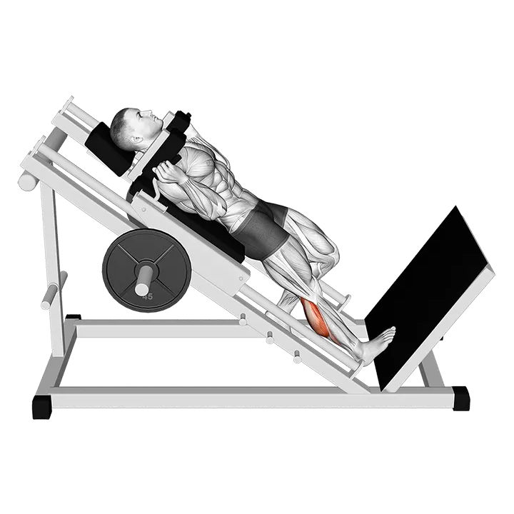 Hack One Leg Calf Raise exercise animation (Hombre)
